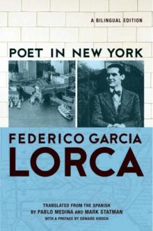      Poet in New York: A Bilingual Edition