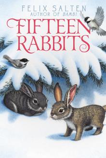      Fifteen Rabbits