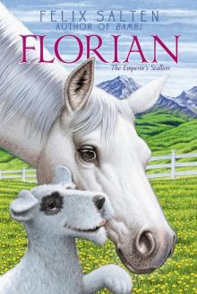      Florian: The Lipizzaner
