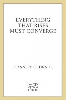      Everything That Rises Must Converge: Stories