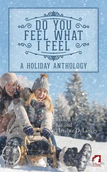      Do You Feel What I Feel. a Holiday Anthology