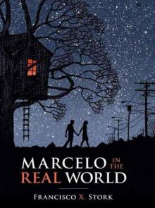      Marcelo in the Real World