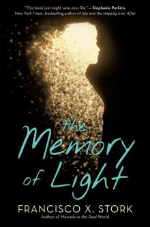      The Memory of Light