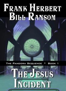      The Jesus Incident