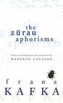      The Zürau Aphorisms