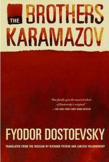      The Brothers Karamazov