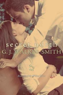     Secret North: Book 4 of The Wishes Series