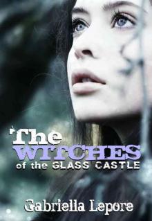      The Witches of the Glass Castle