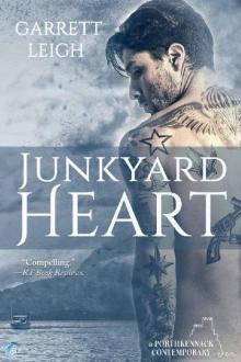      Junkyard Heart (Porthkennack Book 7)