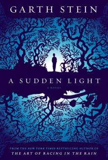      A Sudden Light