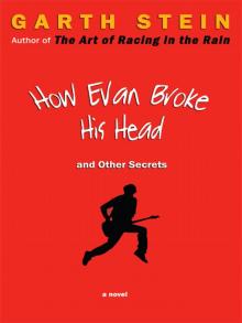      How Evan Broke His Head and Other Secrets