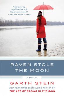      Raven Stole the Moon
