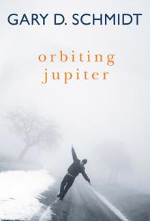      Orbiting Jupiter