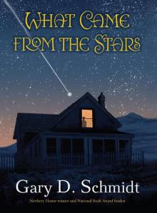      What Came From the Stars