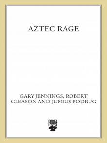     Aztec Rage