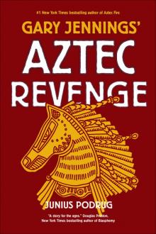      Aztec Revenge