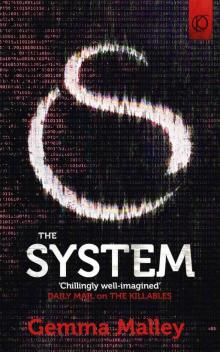      The System