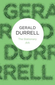      The Stationary Ark