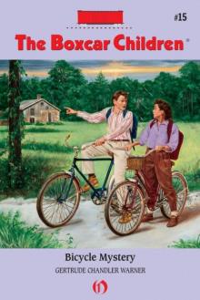      Bicycle Mystery