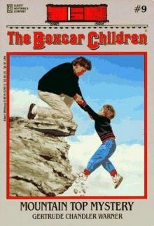     Mountain Top Mystery
