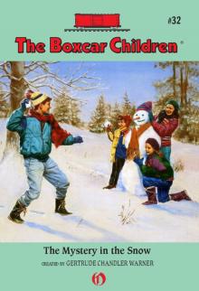      Mystery in the Snow