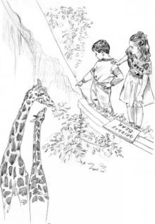     Mystery of the Mixed-Up Zoo