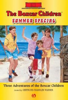      The Boxcar Children Summer Special