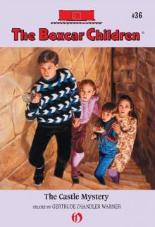      The Castle Mystery