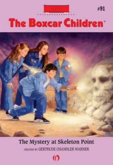      The Mystery at Skeleton Point