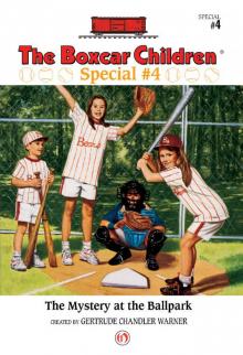      The Mystery at the Ballpark