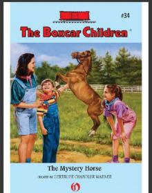      The Mystery Horse
