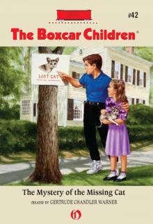      The Mystery of the Missing Cat