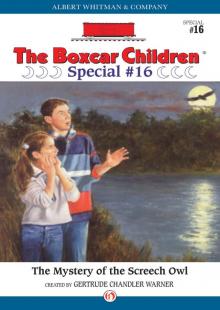      The Mystery of the Screech Owl