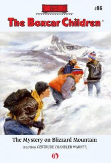      The Mystery on Blizzard Mountain