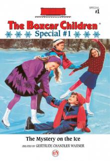      The Mystery on the Ice