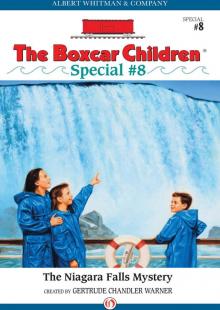      The Niagara Falls Mystery