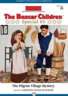      The Pilgrim Village Mystery
