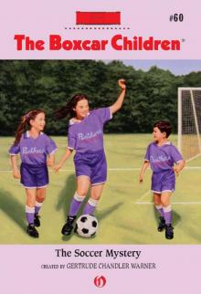      The Soccer Mystery