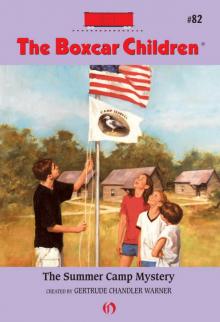      The Summer Camp Mystery