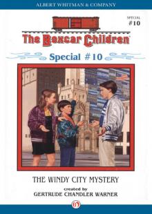      The Windy City Mystery