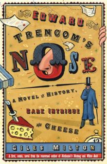      Edward Trencom's Nose