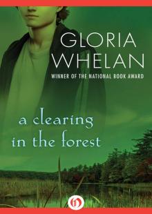      A Clearing in the Forest