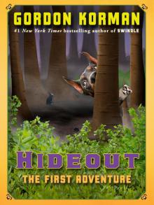      Hideout: The First Adventure