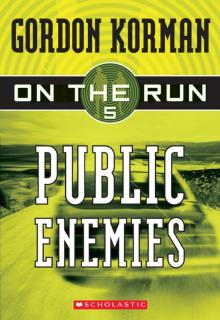      Public Enemies