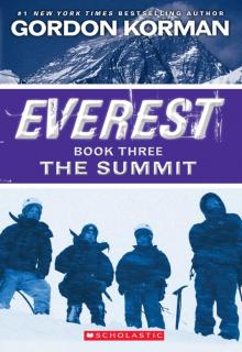      The Summit
