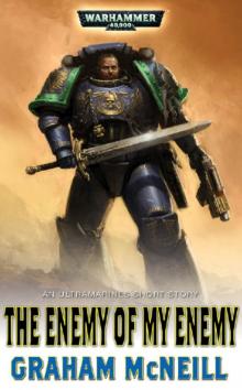      The Enemy Of My Enemy