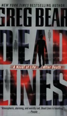      Dead Lines, A Novel of Life... After Death