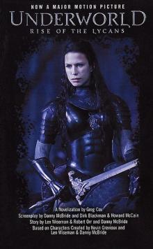      04 - Rise of the Lycans