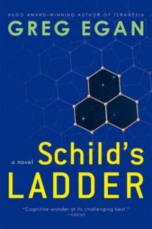      Schild's Ladder