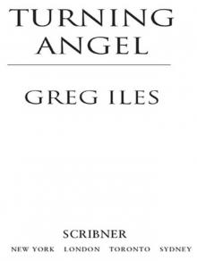      Turning Angel